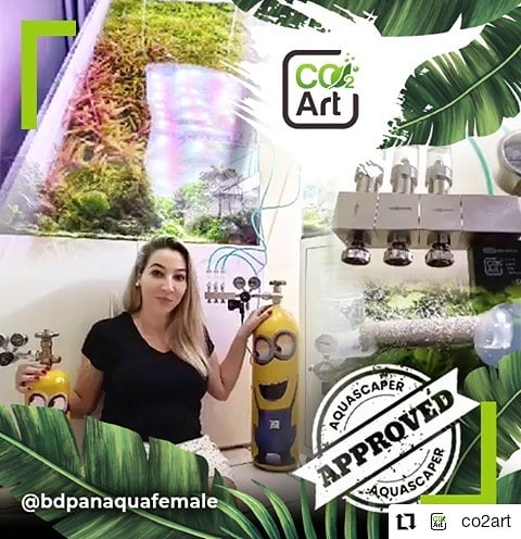 Post na Instagram od @bdpanaquafemale