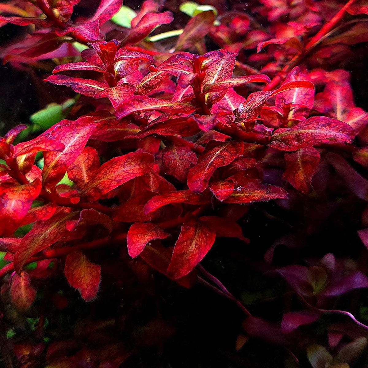 Post na Instagram od @ofish_space