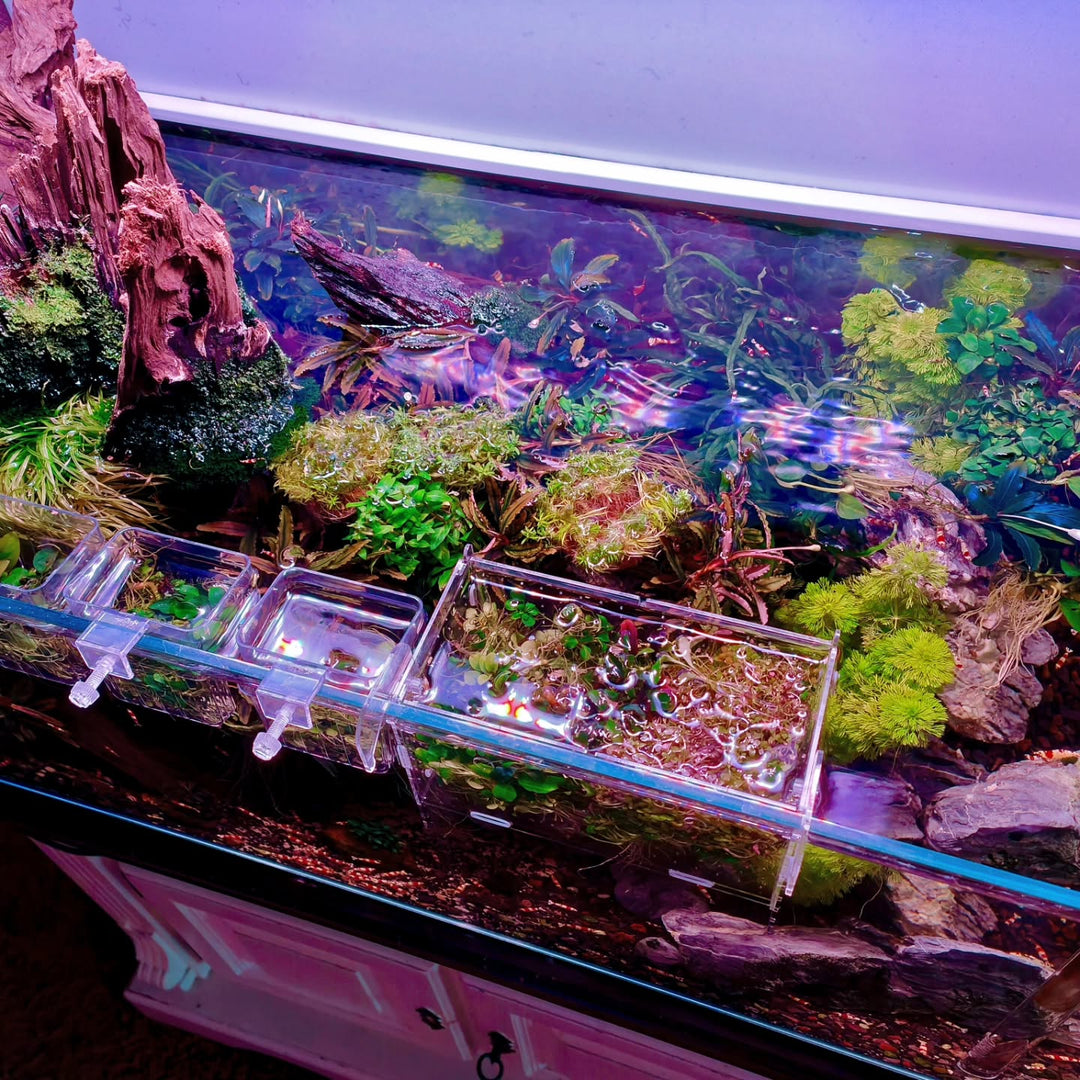 Post na Instagram od @aquascapebarendrecht
