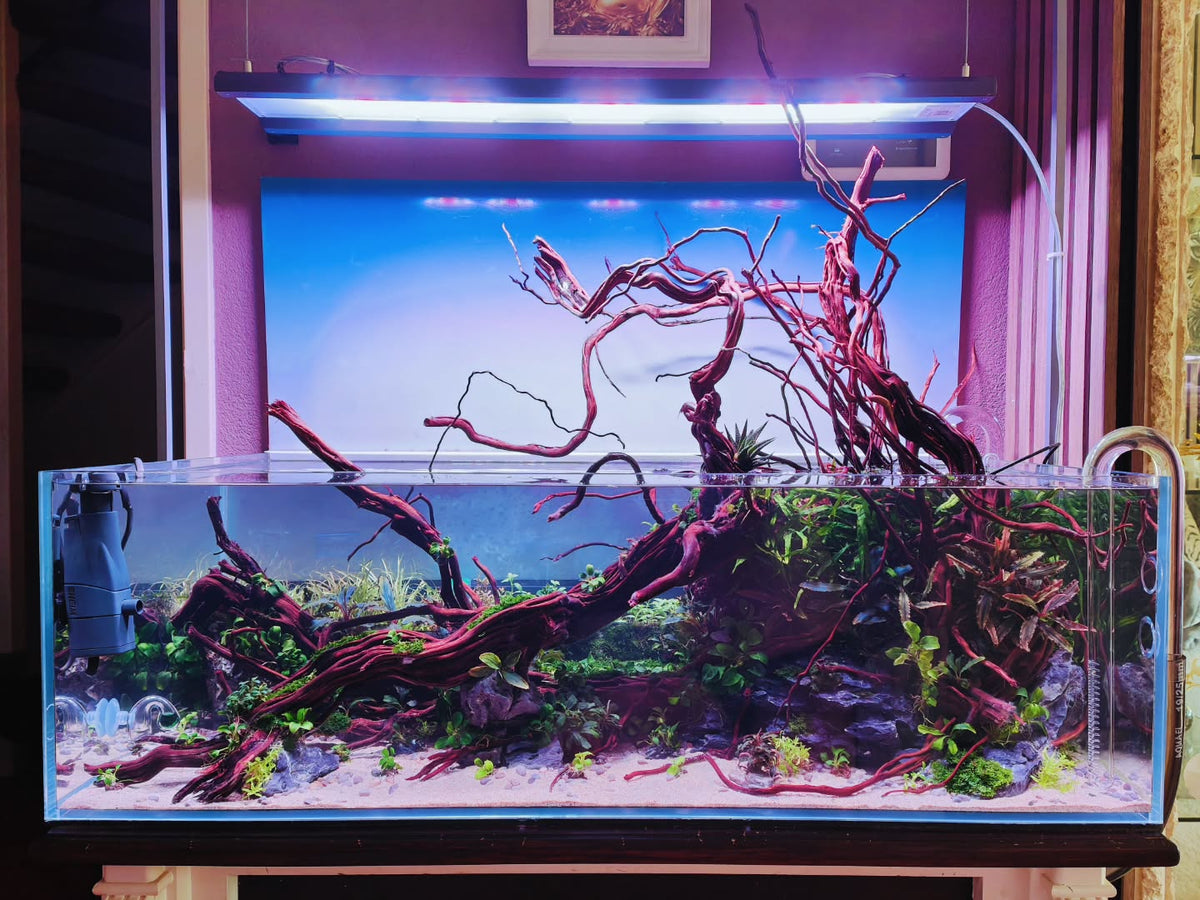 Post na Instagram od @aquascapebarendrecht