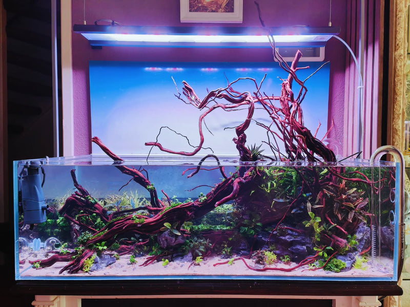Post na Instagram od @aquascapebarendrecht