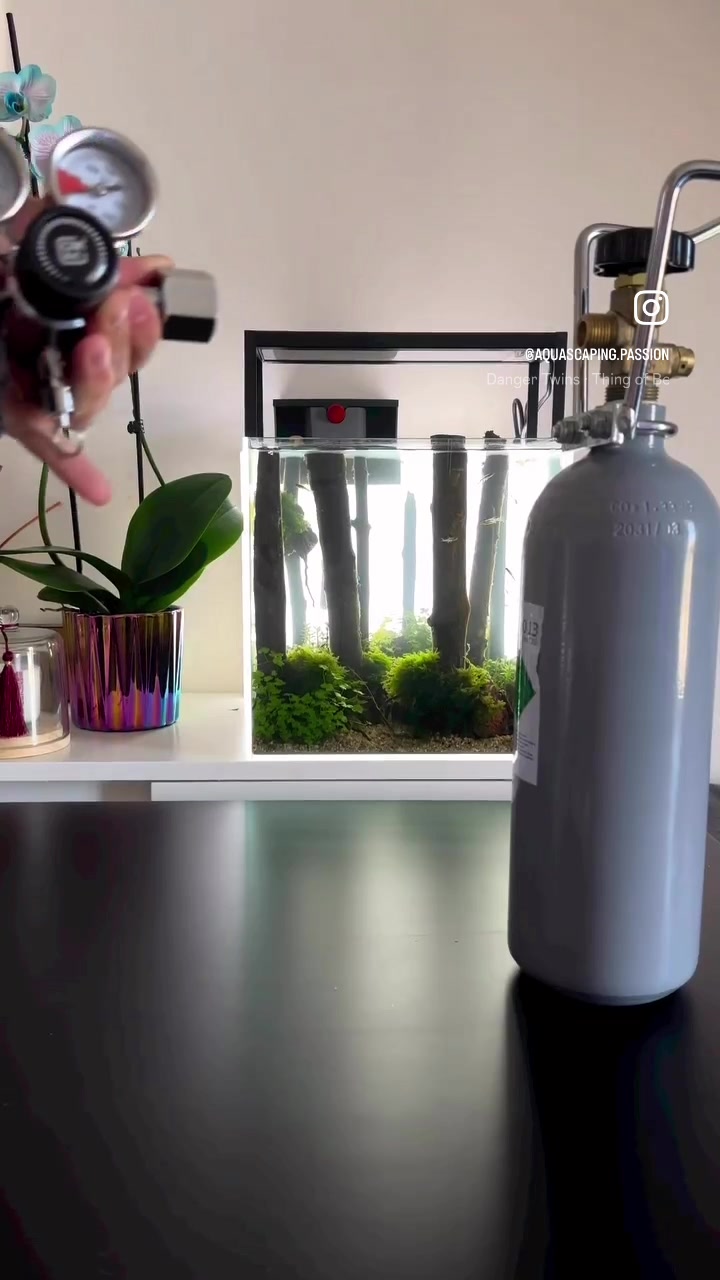 Film na TikTok od @aquascaping.passion